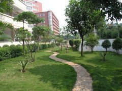 青岛成人高考一年举办几次？算是大学吗？