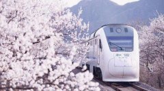 青岛成人高考现场确认时带身份证复印件可以吗？