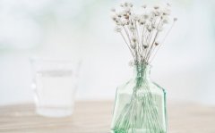 远程教育和成人高考的报名条件是否有区别呢