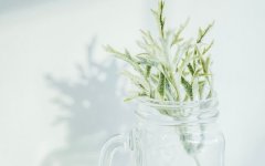 除了成考还有提升学历的机会吗？