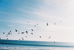 四类人适合报名成人高考，你是其中之一吗？
