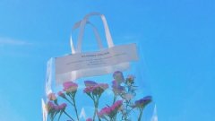网络教育要知道的5个学习方法