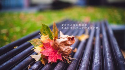 网络教育提升学历适合上