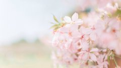 网络教育入学考试通过率高吗？容易拿证吗？