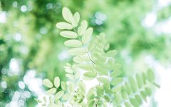 函授是什么意思？学历也有效吗？