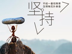 成人高考专升本政治科目如何考高分？