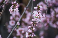 成人高考学历学信网可以查到吗？成人高考学历正规吗？