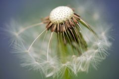 网络教育本科学位好考吗？