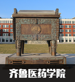 <strong><font color='#FF6633'>成人高考招生简章</font></strong>